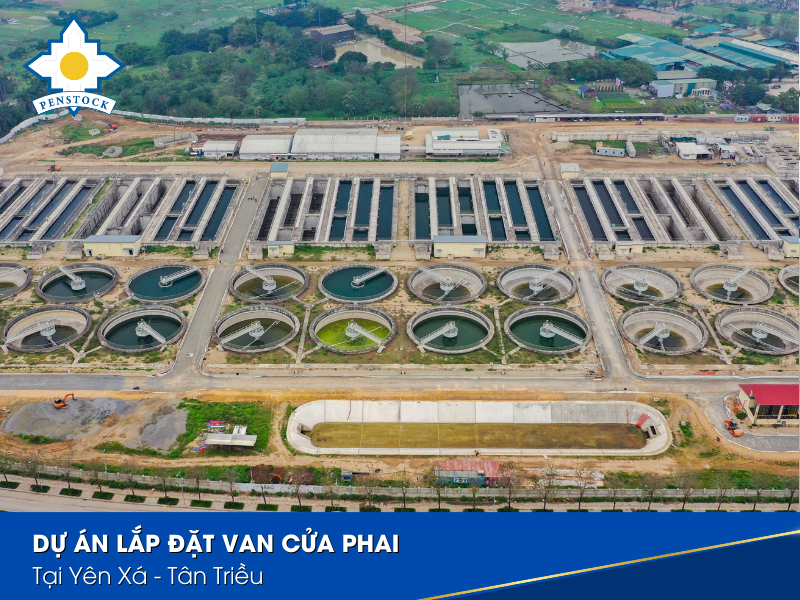 Tân Triều VCp