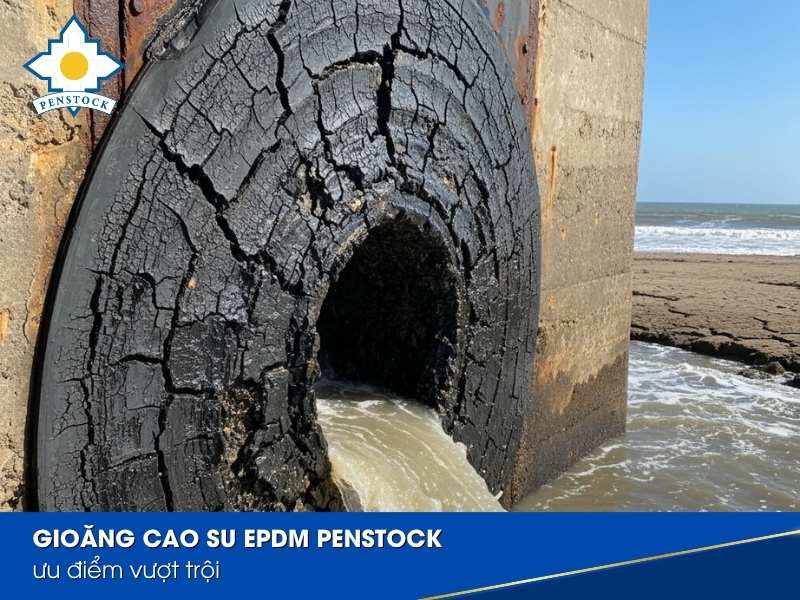 Gioăng cao su EPDM Penstock ưu điểm vượt trội