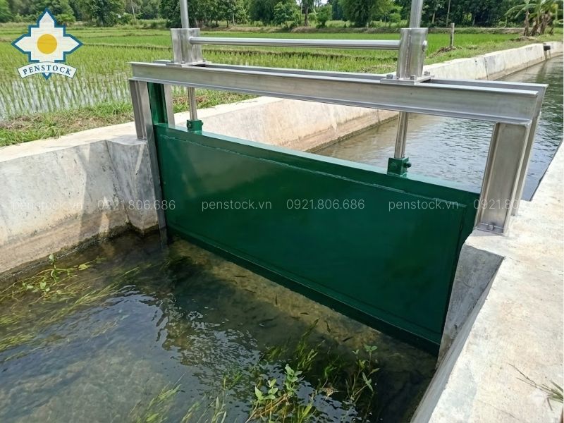 Van cửa phai trên kênh đẫn nước