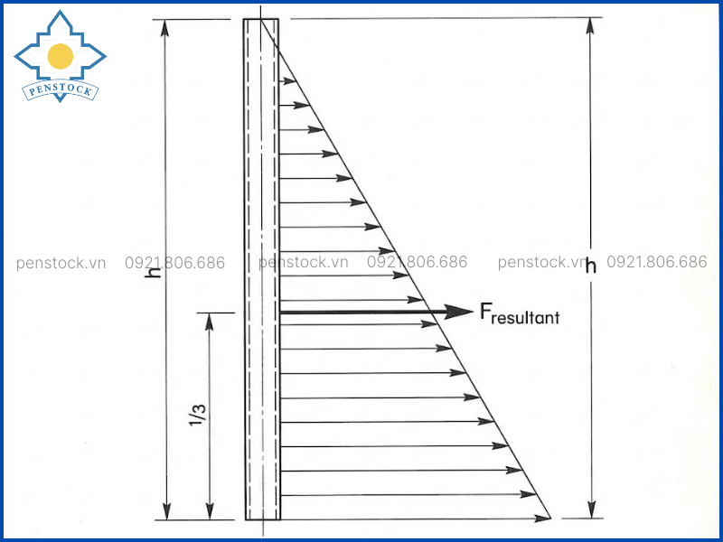 Phân bố áp lực thủy tĩnh