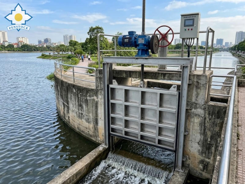 Hình ảnh thực tế